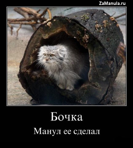 Бочка Бочка