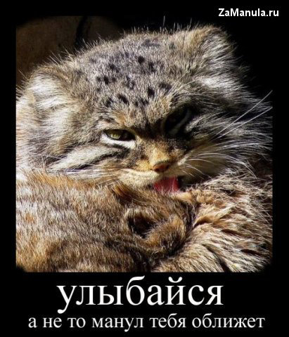 Улыбайся Улыбайся