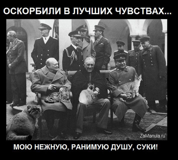 Оскорбили в лучших чувствах... Оскорбили в лучших чувствах...