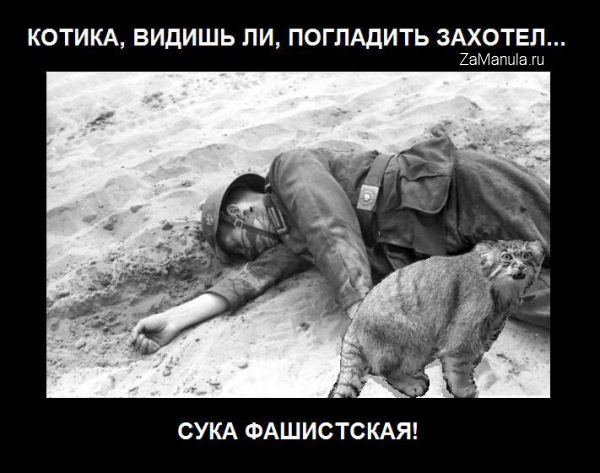 Котика, видишь ли, погладить захотел... Котика, видишь ли, погладить захотел...