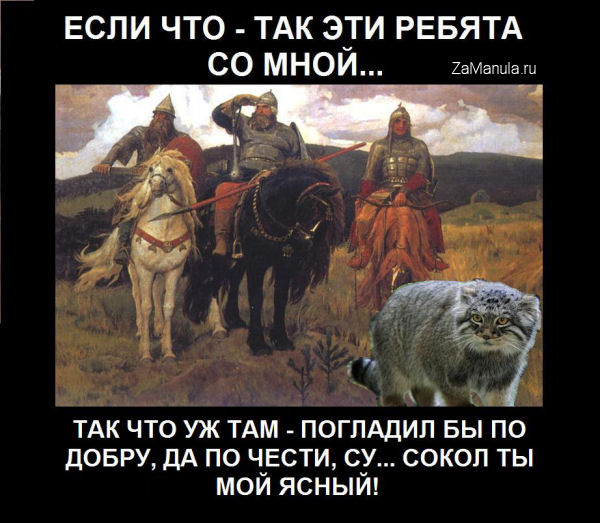 Если что - так эти ребята со мной... Если что - так эти ребята со мной...