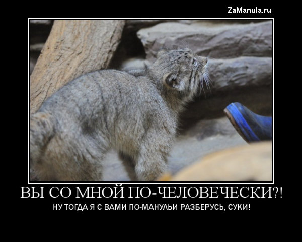 Вы со мной по-человечески?!