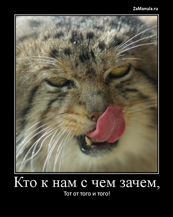 Кто к нам с чем зачем Кто к нам с чем зачем