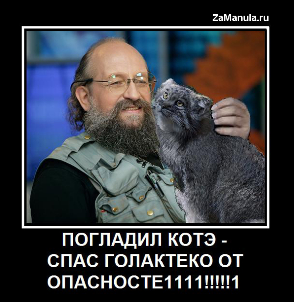 Погладил котэ - спас голактеко Погладил котэ - спас голактеко