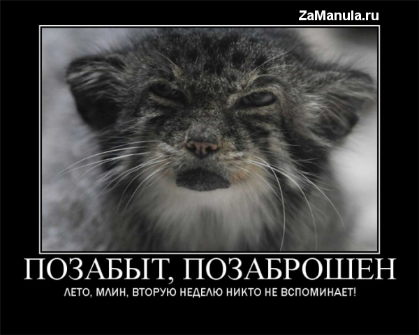 Позабыт, позаброшен Позабыт, позаброшен