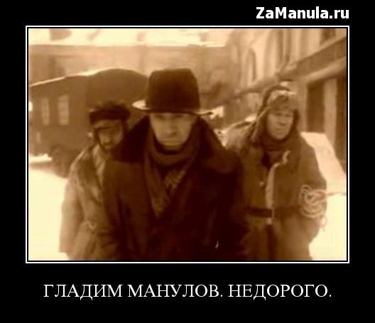 Гладим манулов. Недорого Гладим манулов. Недорого