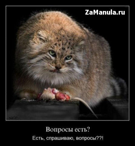 Вопросы есть? Вопросы есть?