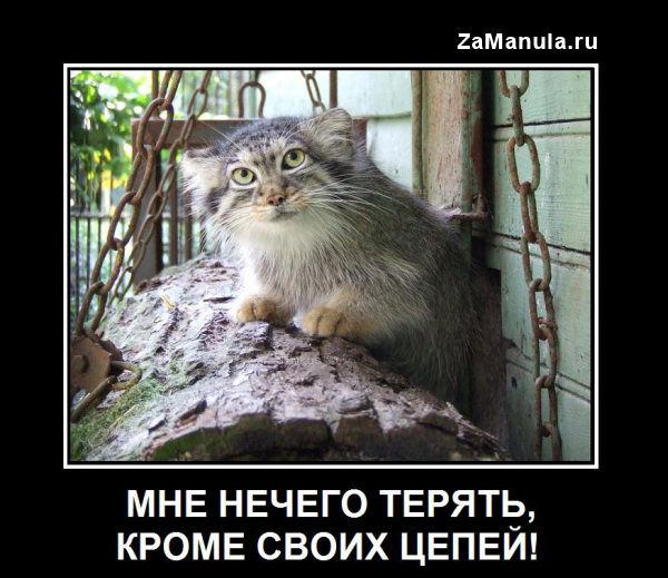 Мне нечего терять, кроме своих цепей! Мне нечего терять, кроме своих цепей!