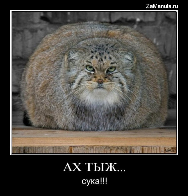 Ах ты ж... Ах ты ж...