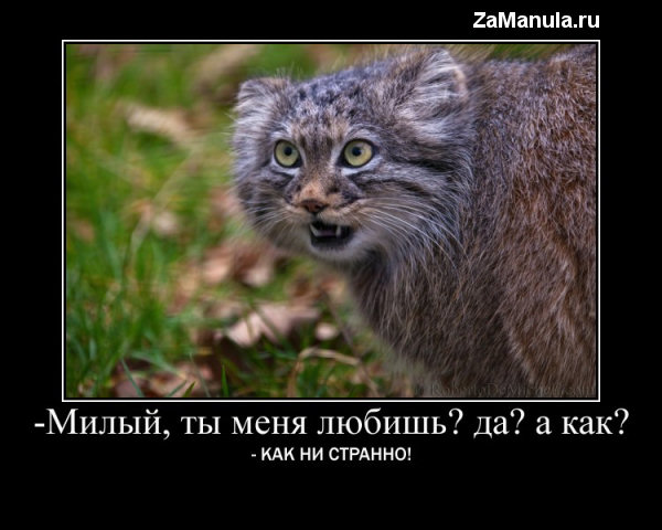 Милый, ты меня любишь? Милый, ты меня любишь?