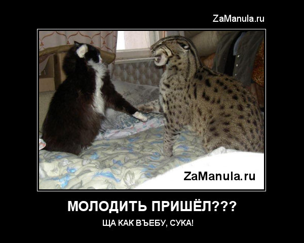 Молодить пришёл??? Молодить пришёл???