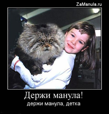 Держи манула, детка Держи манула, детка