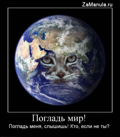 Погладь мир! Погладь мир!