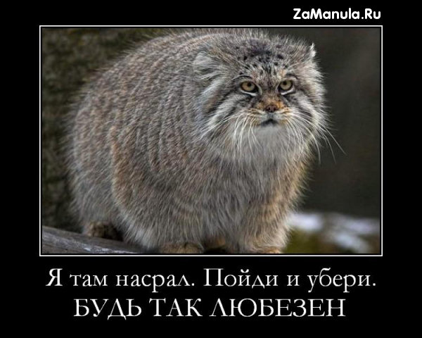 Я там насрал Я там насрал