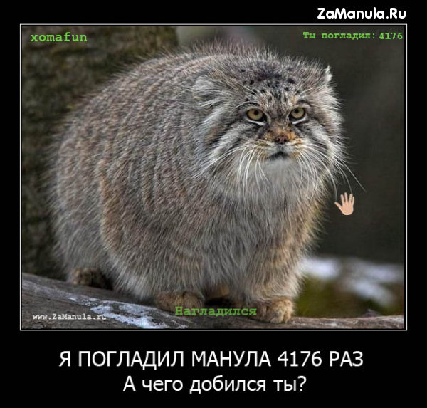 А чего добился ты? А чего добился ты?