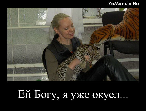 Ей Богу, я уже окуел... Ей Богу, я уже окуел...