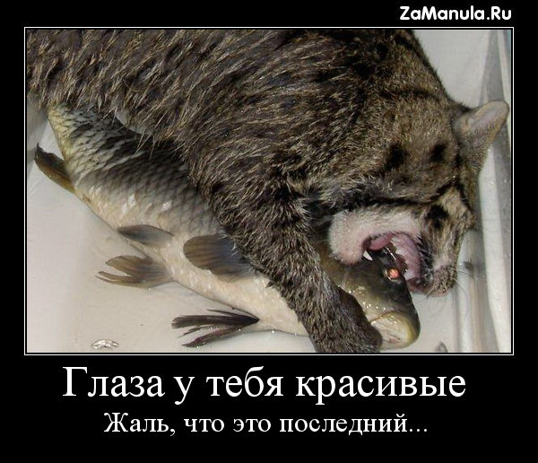 Глаза у тебя красивые Глаза у тебя красивые
