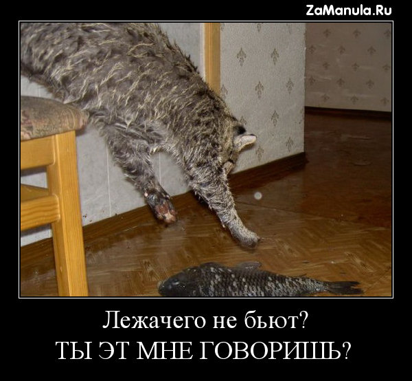 Лежачего не бьют? Лежачего не бьют?
