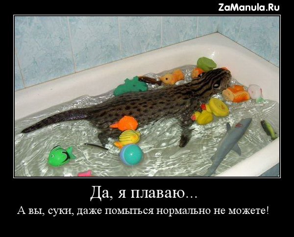 Да, я плаваю... Да, я плаваю...