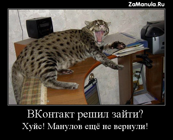 Манулов ещё не вернули! Манулов ещё не вернули!