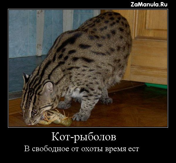 В свободное от охоты время ест В свободное от охоты время ест
