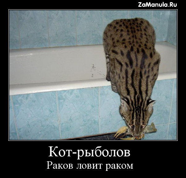 Раков ловит раком Раков ловит раком