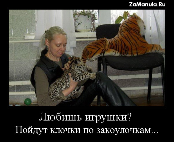 Любишь игрушки? Любишь игрушки?