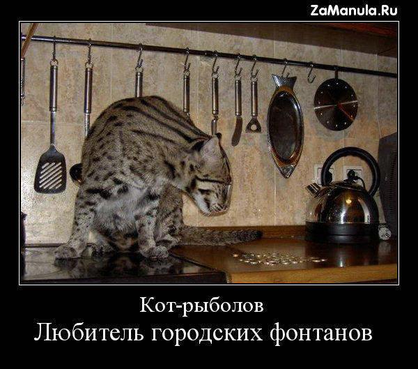 Любитель городских фонтанов Любитель городских фонтанов