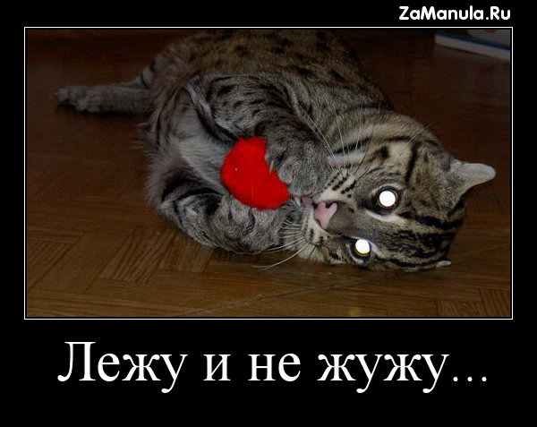 Лежу и не жужу... Лежу и не жужу...