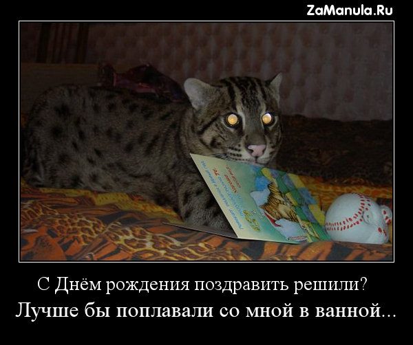 С Днём рождения поздравить решили? С Днём рождения поздравить решили?