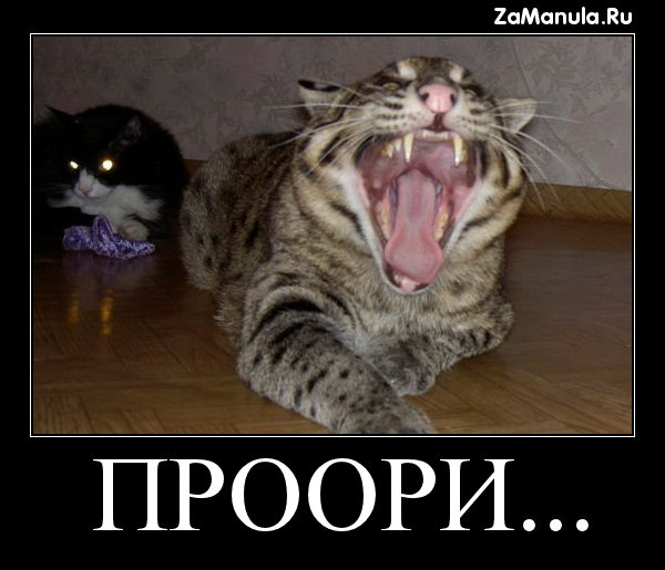 ПРООРИ... ПРООРИ...