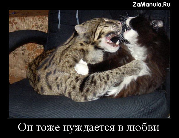 Он тоже нуждается в любви Он тоже нуждается в любви