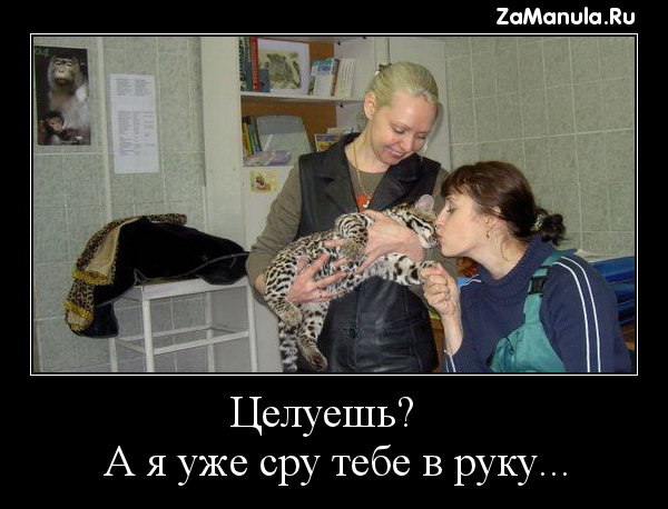 Целуешь? Целуешь?