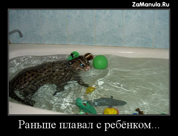 Раньше плавал с ребёнком... Раньше плавал с ребёнком...