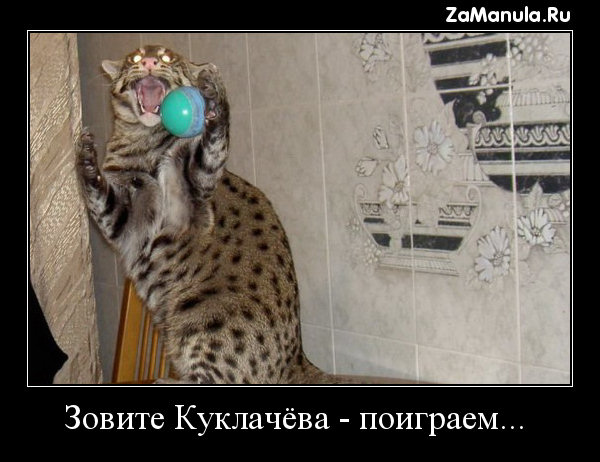 Зовите Куклачёва - поиграем... Зовите Куклачёва - поиграем...