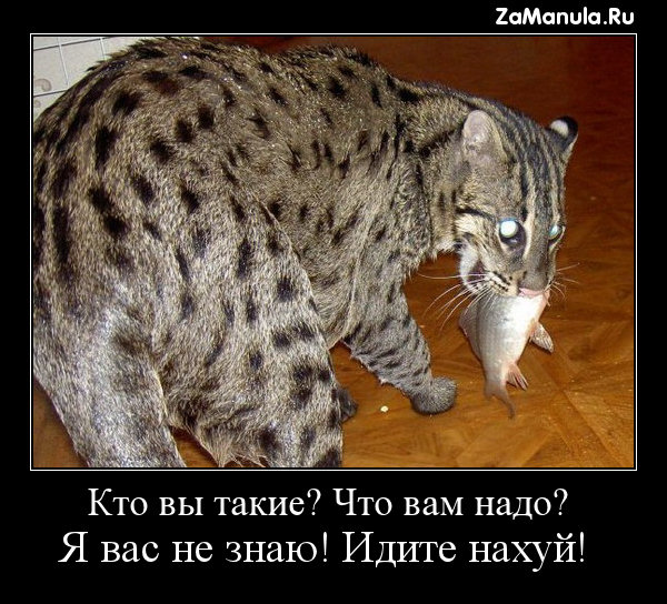 Кто вы такие? Что вам надо? Кто вы такие? Что вам надо?