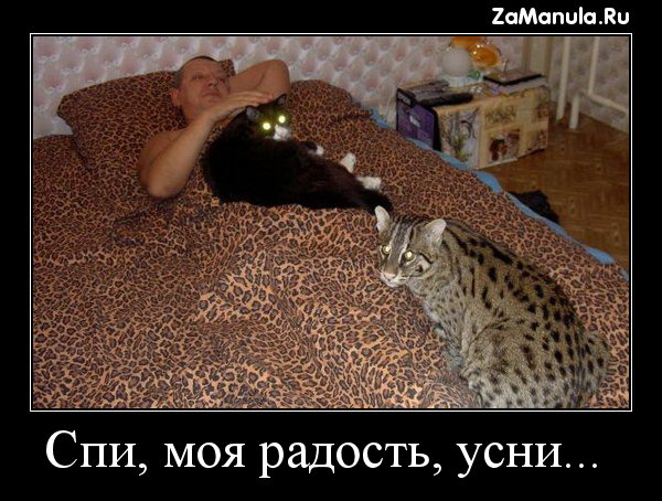 Спи, моя радость, усни... Спи, моя радость, усни...