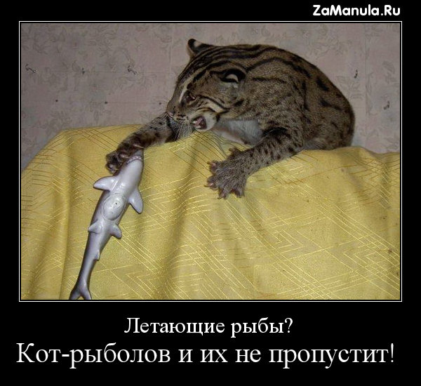 Летающие рыбы? Летающие рыбы?