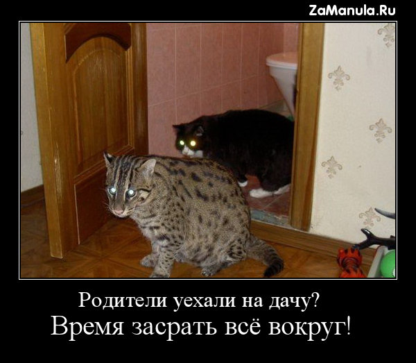 Родители уехали на дачу? Родители уехали на дачу?
