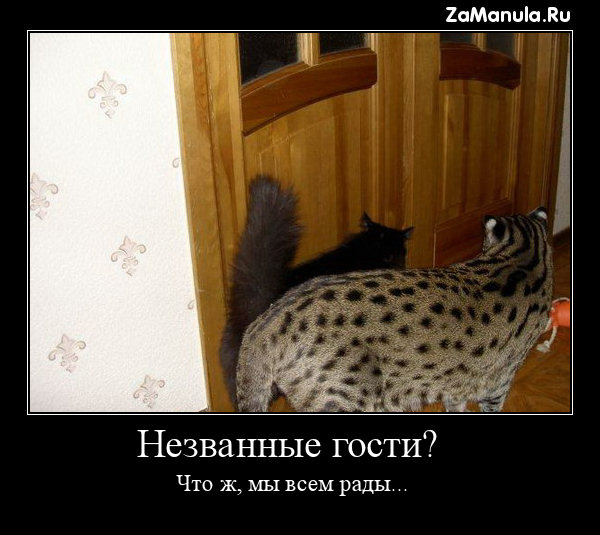 Незванные гости? Незванные гости?