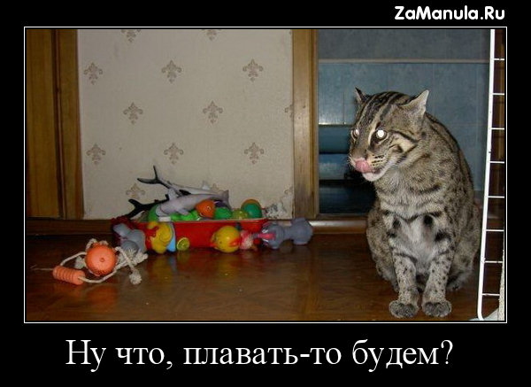 Ну что, плавать-то будем? Ну что, плавать-то будем?