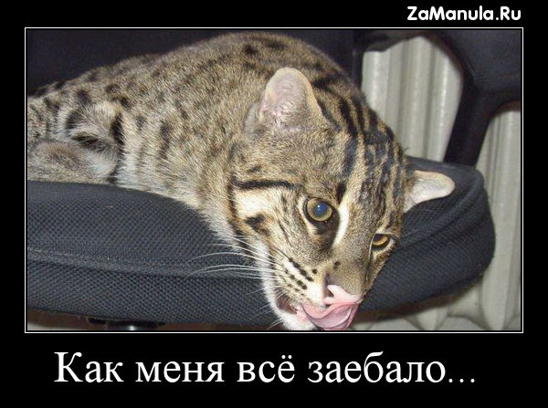 Как меня всё зае*ало... Как меня всё зае*ало...