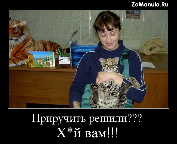 Приручить решили??? Приручить решили???