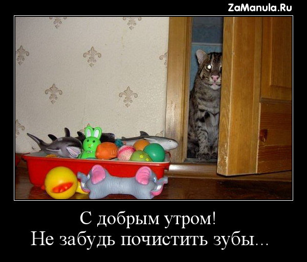 С добрым утром! С добрым утром!