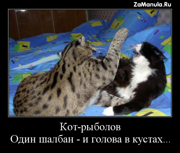 Один шалбан - и голова в кустах... Один шалбан - и голова в кустах...