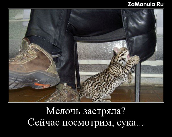 Мелочь застряла?