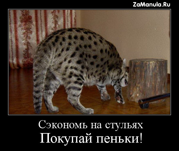 Покупай пеньки!