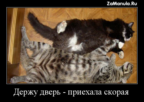 Держу дверь 3