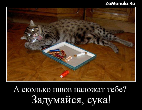 А сколько швов наложат тебе? А сколько швов наложат тебе?