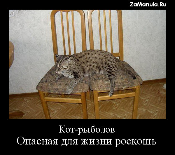 Опасная для жизни роскошь Опасная для жизни роскошь